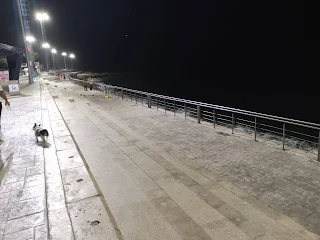 La guaira de noche