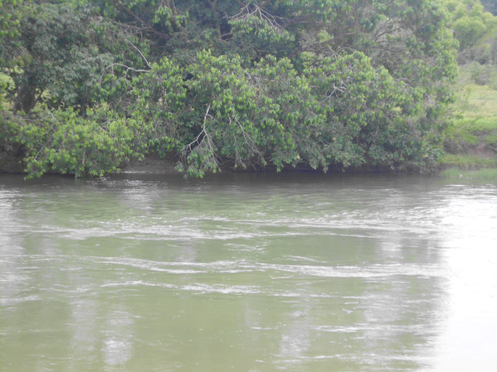 Rio Araguaia, Alto Araguaia | Mato Grosso