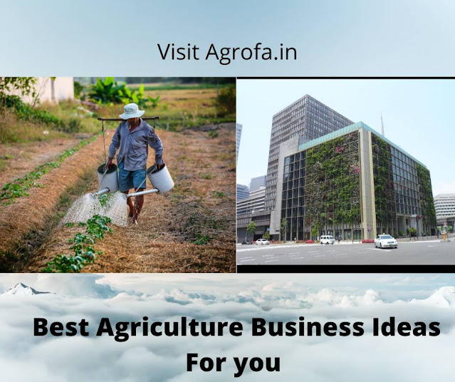 Agriculture business ideas