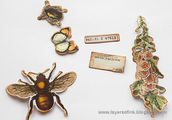 Layers of ink - Vintage Nature Notebook Tutorial by Anna-Karin Evaldsson. With Tim Holtz Field Notes.