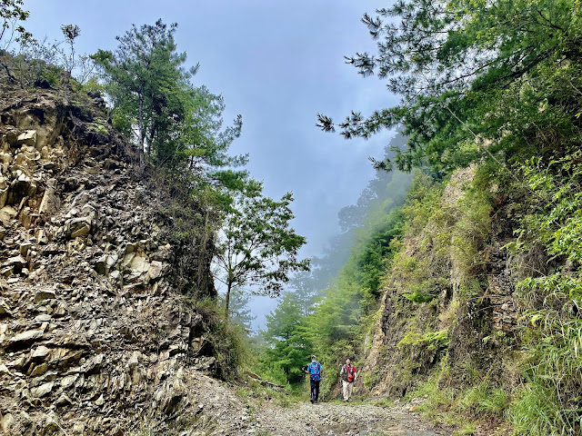 船型山林道回程