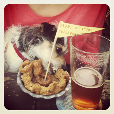 Pie for Dogs