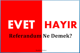 Referandum Nedir