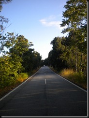 DSCN1405
