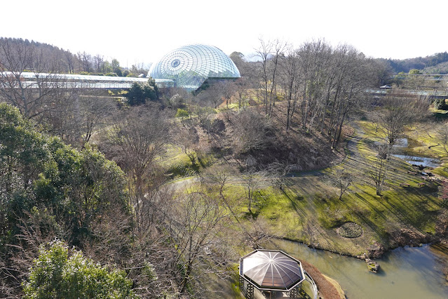 鳥取県西伯郡南部町鶴田 とっとり花回廊 花の谷