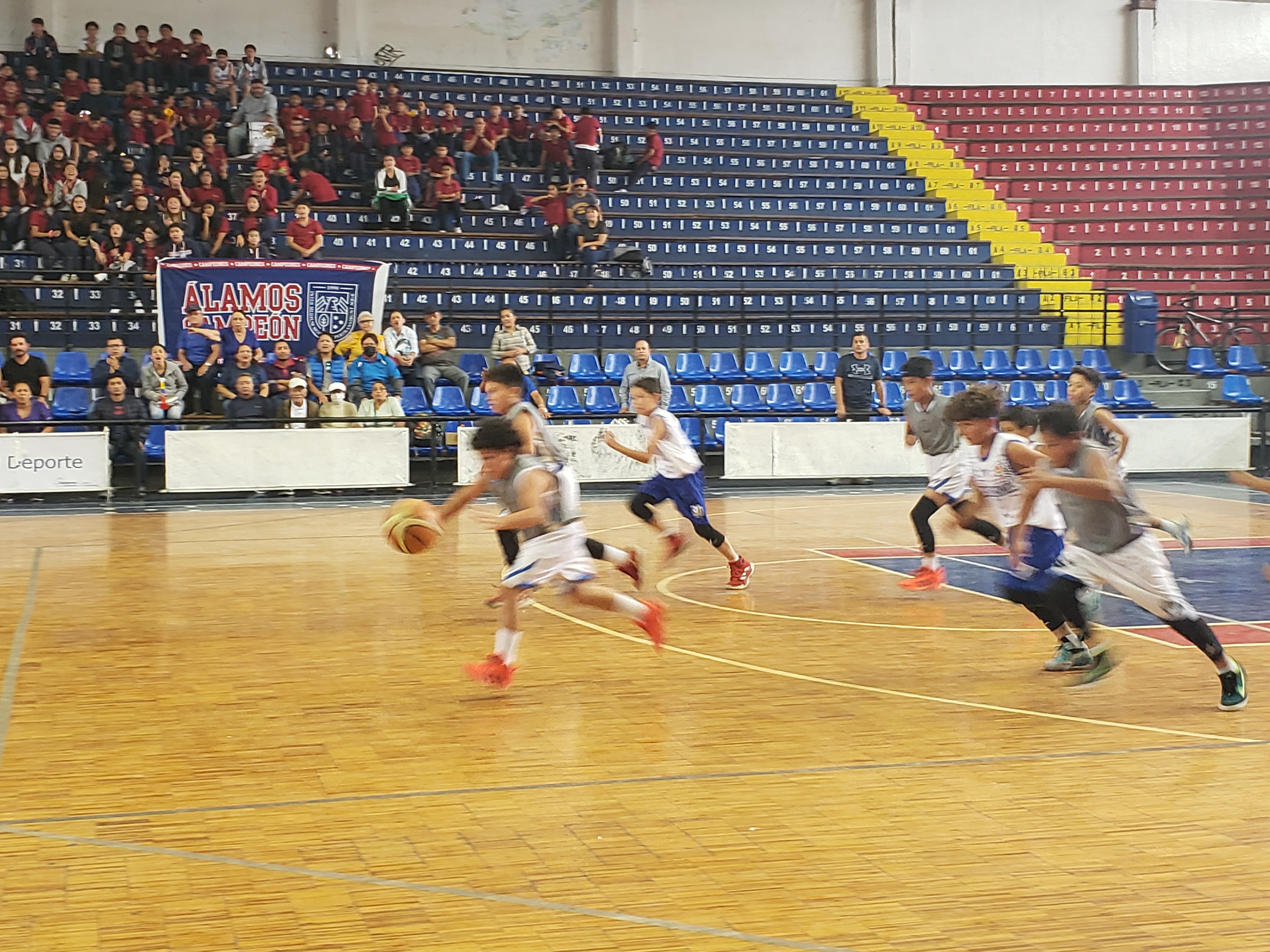 Escuela Santa María del Valle se coronó campeón nacional de baloncesto