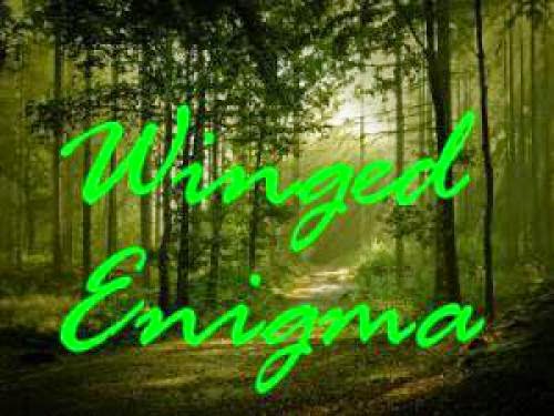 Bigfoot Winged Enigma