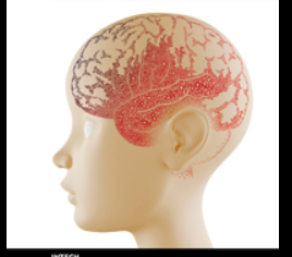 Laboratory diagnosis of meningitis