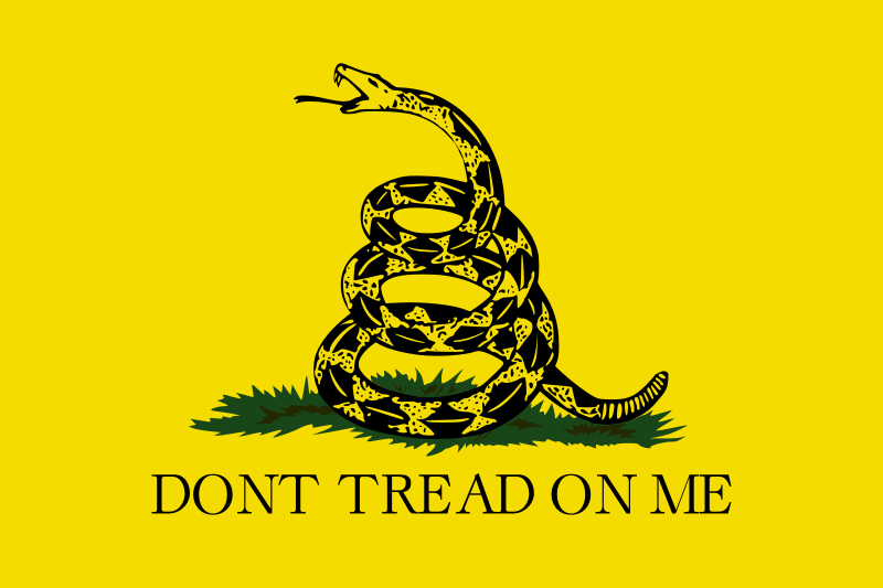 More commonly known as the Don't Tread on Me flag it was used during the