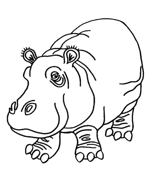 hippo coloring pages for kids