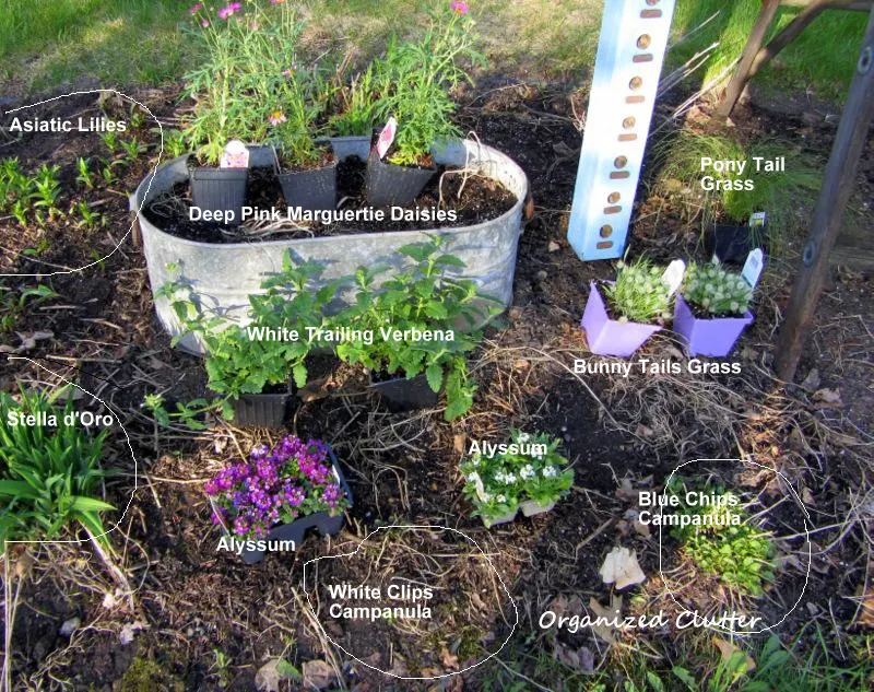 Annuals, Perennials, & Junk Garden Border www.organizedclutterqueen.blogspot.com