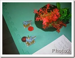 fridat2322 038