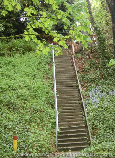 Seattle Stairs on the Hillside