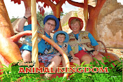 Williams Family: Benefits of Booking a Disney Land/Sea Vacation Separately