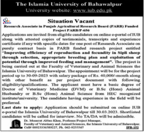 Islamia university of bahawalpur job vacancy 2023 | www.iub.edu.pk