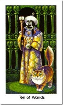 31