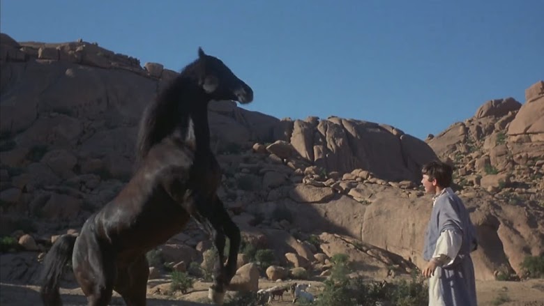 Como uña y carne 1983 pelicula descargar gratis