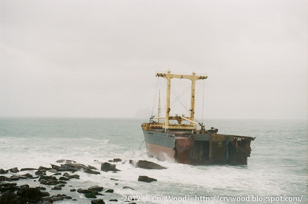 56250011