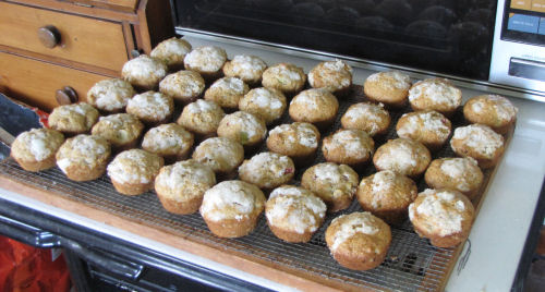 rhubarb muffins