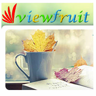 earn-online-viewfruit-philippines