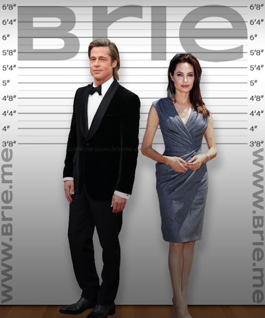 Brad Pitt height comparison with Angelina Jolie