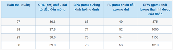 kích thước thai nhi theo tuần