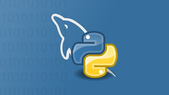 Using MySQL Databases With Python