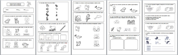 Prueba de Ciencia y Ambiente - Primaria