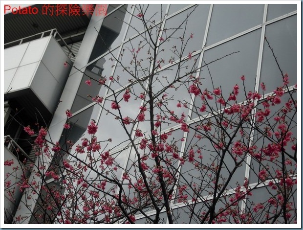 DSCN5616
