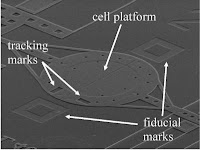 Caption: Electron micrograph of the NIST 'cell puller,' which measures the mechanical properties of a living cell. After the cell spreads and adheres to the center of the 200-micrometer-wide circular platform, half of the platform is pulled slowly away, while a sensor connected to the other half measures the force on the cell. Credit: D. Serrell/NIST, Usage Restrictions: None.