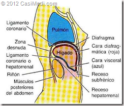 CasiMedi.com