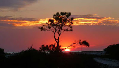 Grayton Beach State Park