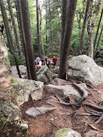 Rescue team carrying injured hiker