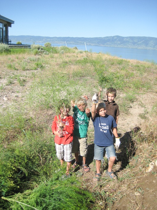 mom's reunion pictures 2011 187