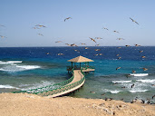 #17 Sharm El Sheikh Wallpaper