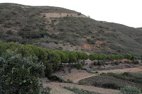 Café Portugal - PASSEIO DE JORNALISTAS na Serra do Caldeirão