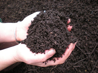 Lovely looking compost ready for growing