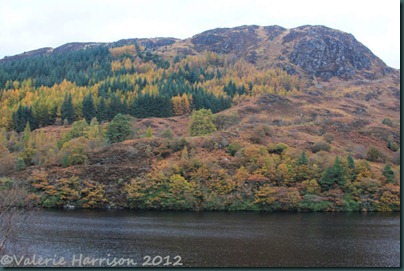 26-autumn-loch-trool