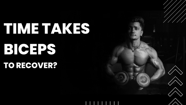 Time Takes Biceps to Recover?  मैं अपने बाइसेप्स को तेजी से कैसे ठीक कर सकता हूं?