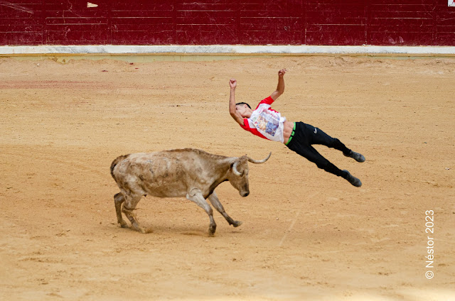 Recortadores Plaza de la Ribera Logroño San Mateo 2023