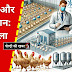  पोल्ट्री फार्मिंग और आर्थिक नुकसान:डॉ.मनोज शुक्ला 