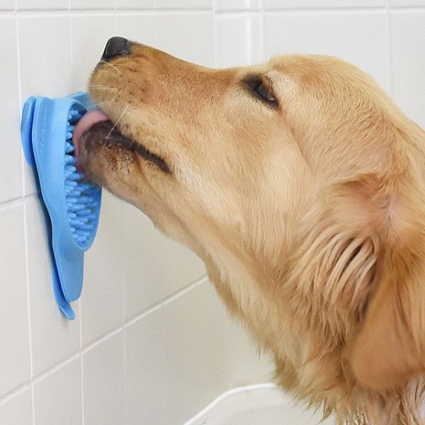 Help your dog stay calm while bathing or other activities by giving them a treat to work on