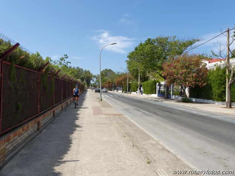 Bici Cádiz - Puerto de Santa María - Puerto Real - San Fernando - Cádiz