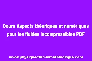 Cours Aspects théoriques et numériques pour les fluides incompressibles PDF