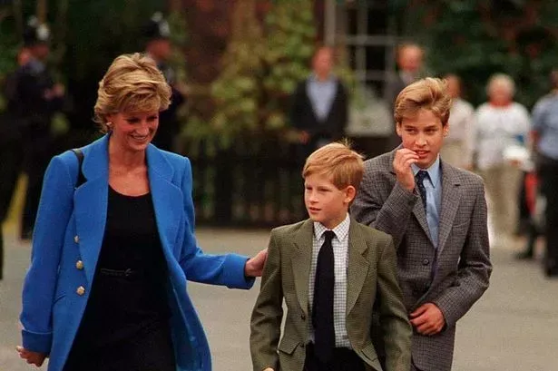 Prince Harry Honors Princess Diana’s Memory with Significant Sacrifice