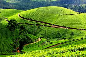 Kerala Tours