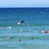 Tubarão salta da água no meio de surfistas