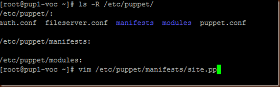 puppet-site.pp