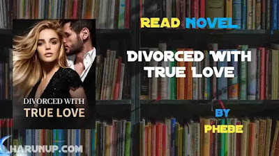 Divorced With True Love Novel