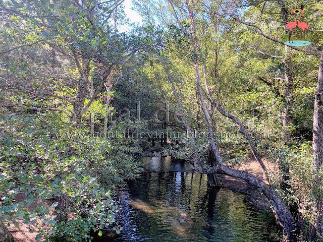 DESCUBRIENDO EL GEOPARQUE VILLUERCAS IBORES-JARA | RUTA POR CAÑAMERO |